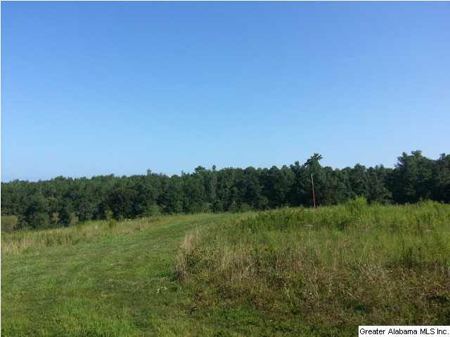 455 County Road, Unit 53 Woodland, AL 36280 - Photo 11 of 21