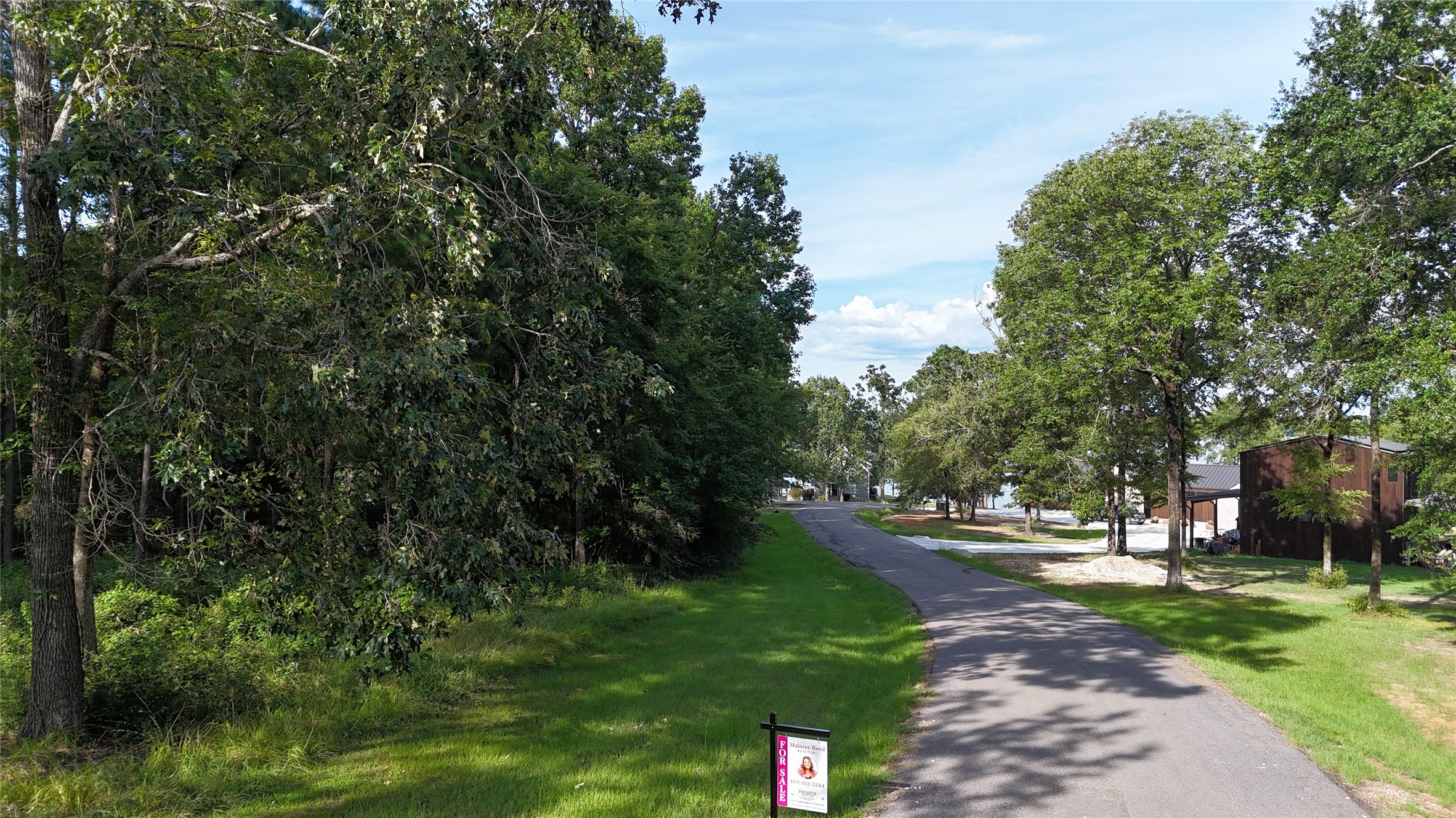 a view of park on side of street