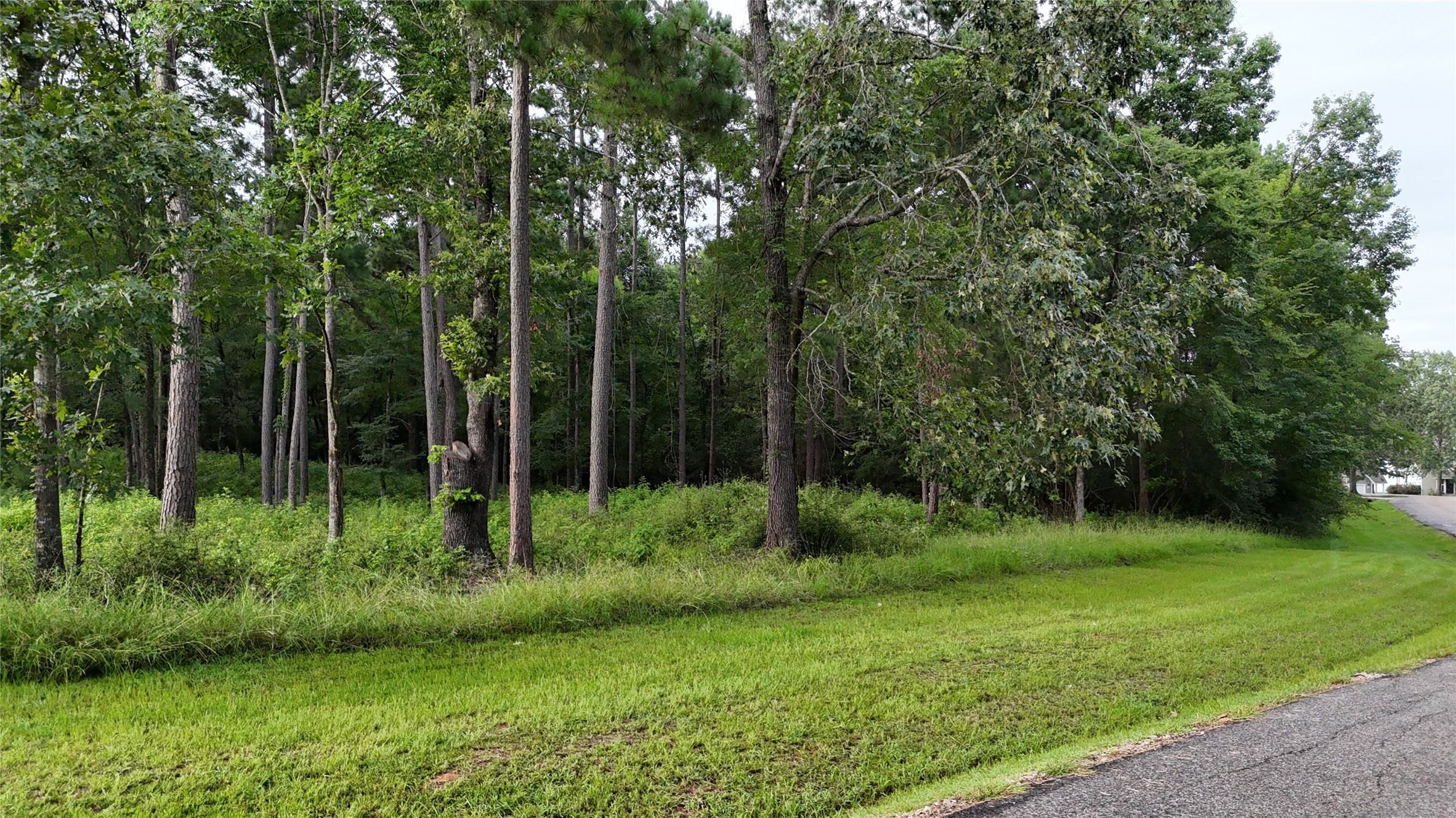 35 Naples Way Huntsville, TX 77320 - Photo 11 of 16 a view of a green field