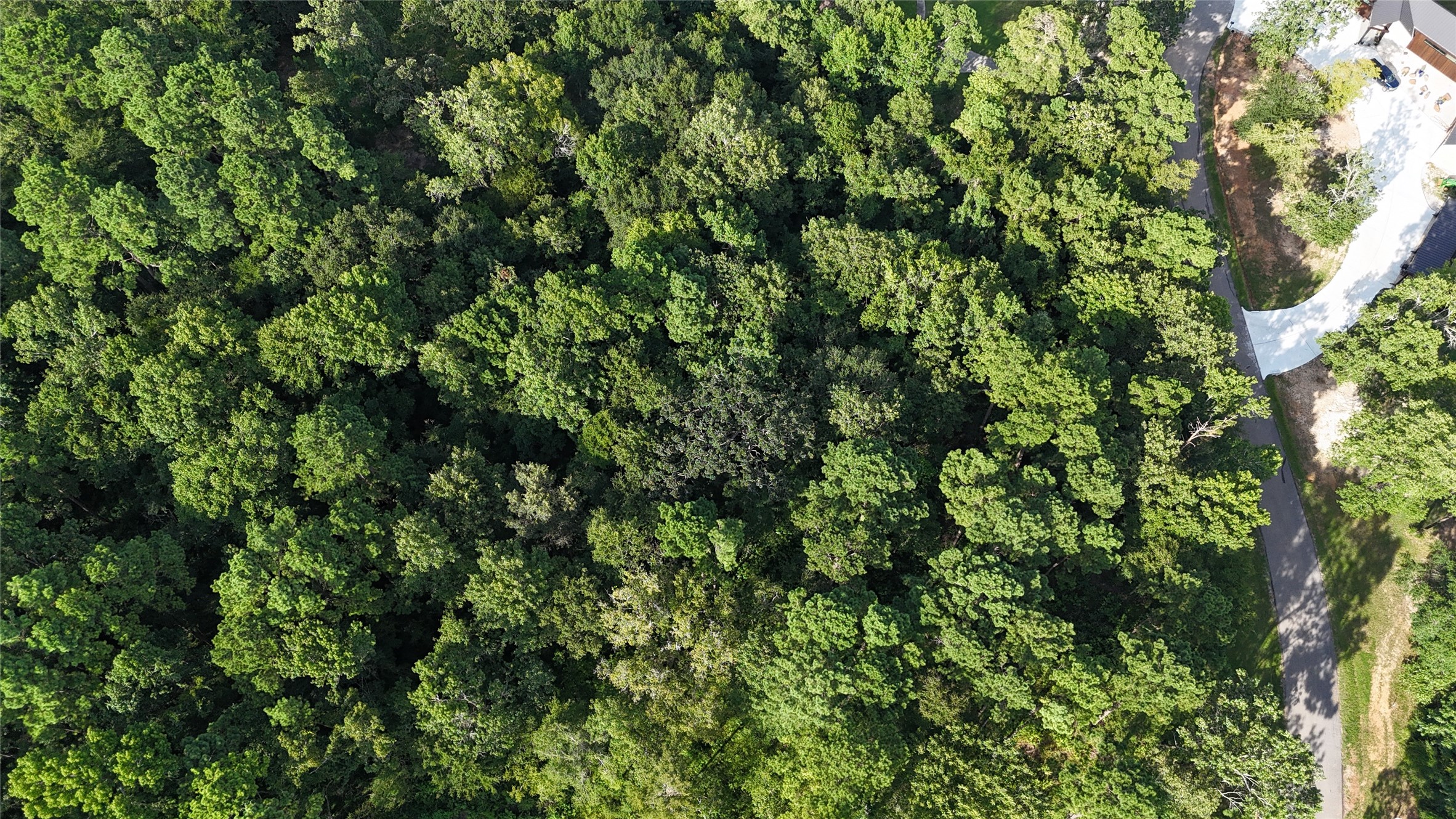 35 Naples Way Huntsville, TX 77320 - Photo 14 of 16 a view of a lush green forest