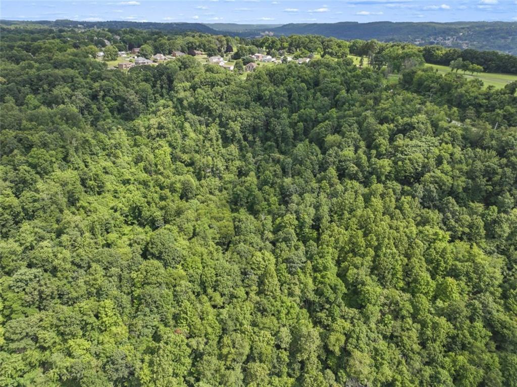 -constitution Blvd Darlington Rd & State Rt 51 New Brighton, PA 15066 - Photo 6 of 9 a view of a large yard with lots of green space and mountain view