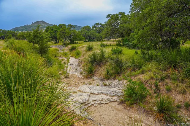 $2,199,500 | 1401 Cedar Mesa Road, Tarpley, TX 78883