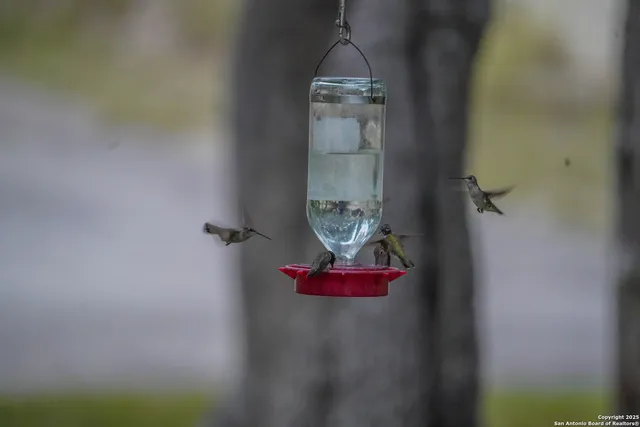 $2,199,500 | 1401 Cedar Mesa Road, Tarpley, TX 78883