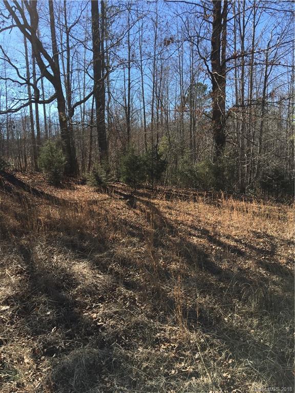 0 Lyles Pond Road Rutherfordton, NC 28139 - Photo 1 of 8