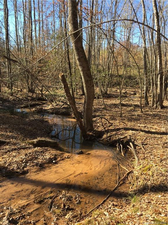 0 Lyles Pond Road Rutherfordton, NC 28139 - Photo 3 of 8