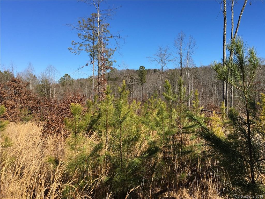 0 Lyles Pond Road Rutherfordton, NC 28139 - Photo 4 of 8