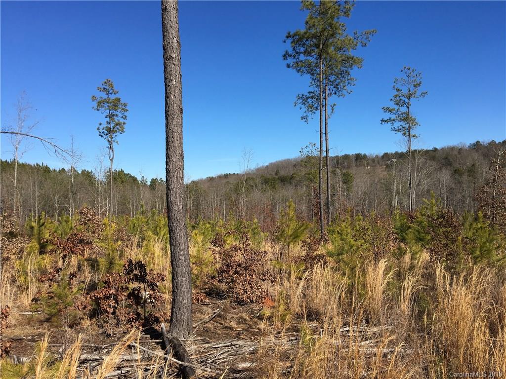 0 Lyles Pond Road Rutherfordton, NC 28139 - Photo 5 of 8