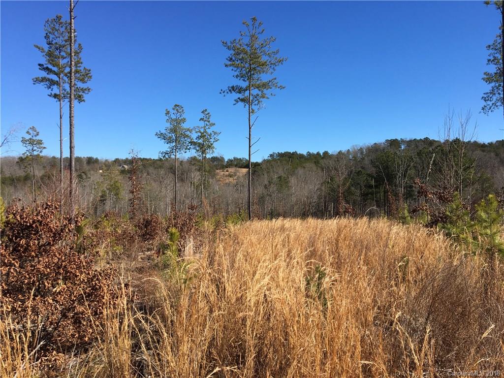 0 Lyles Pond Road Rutherfordton, NC 28139 - Photo 6 of 8