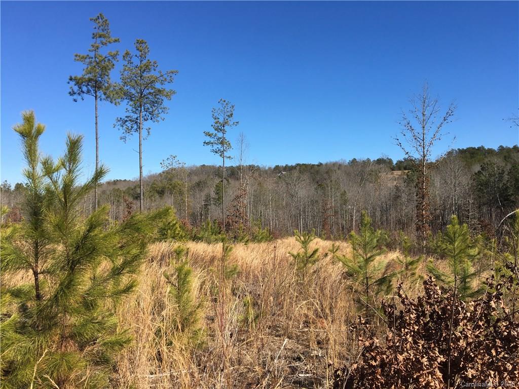 0 Lyles Pond Road Rutherfordton, NC 28139 - Photo 7 of 8