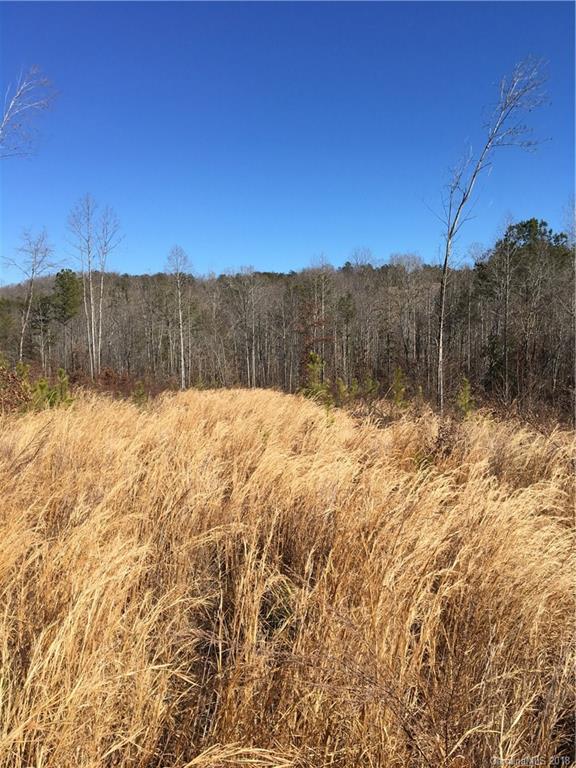 0 Lyles Pond Road Rutherfordton, NC 28139 - Photo 8 of 8
