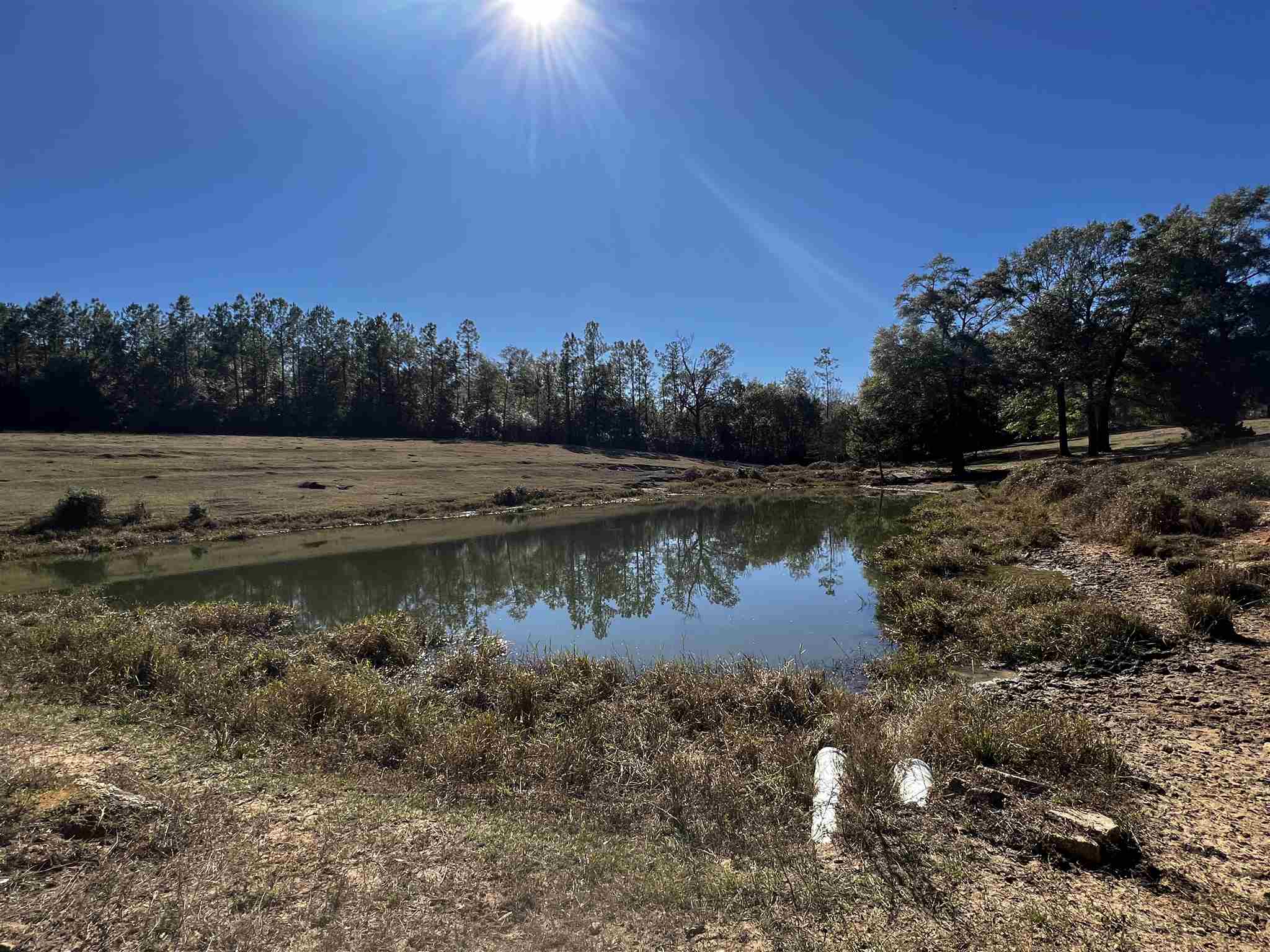 0 Wiley Scott Road Jay, FL 32565 - Photo 1 of 19