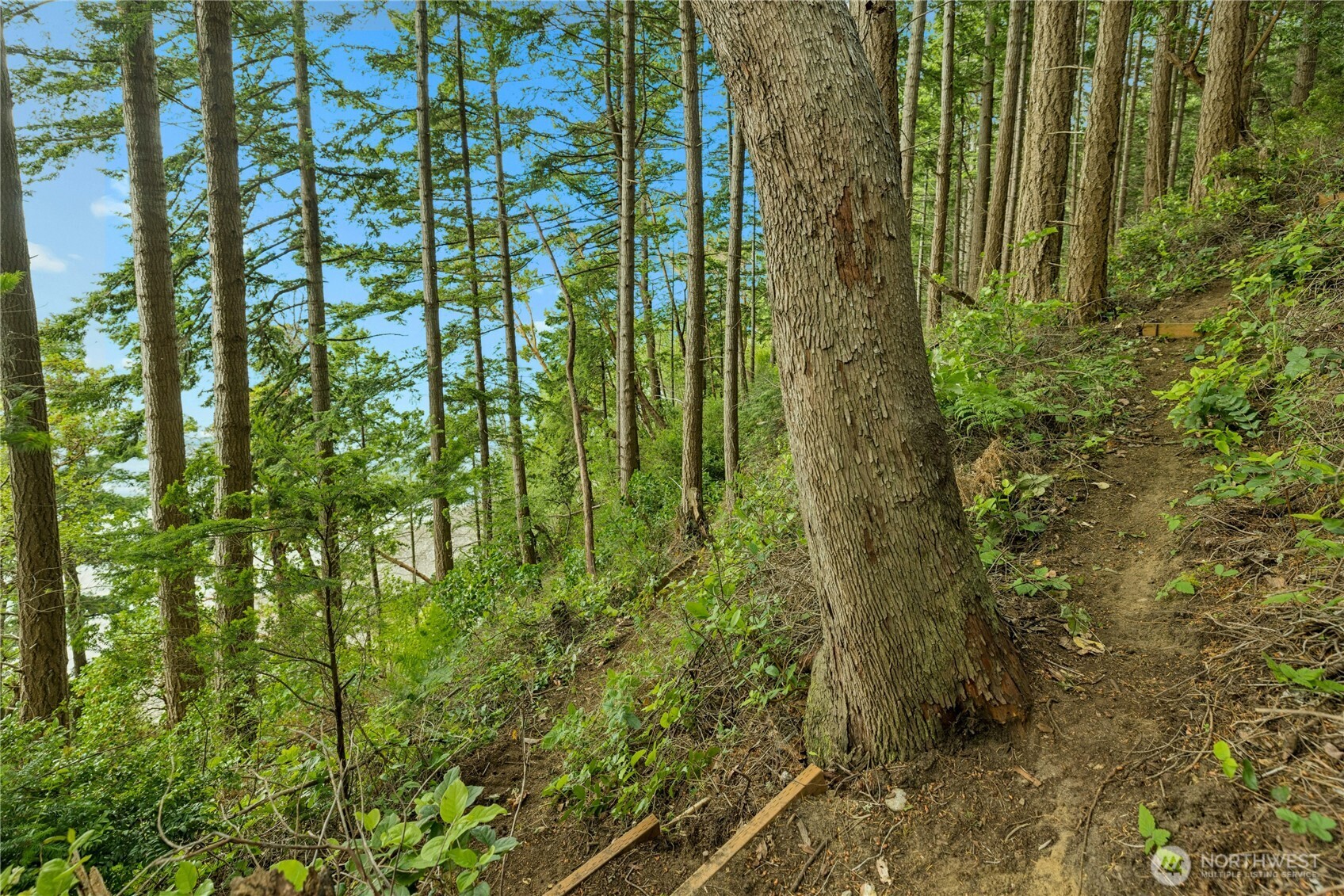 0 K-tract 9 Mcdonald Road Quilcene, WA 98376 - Photo 30 of 31