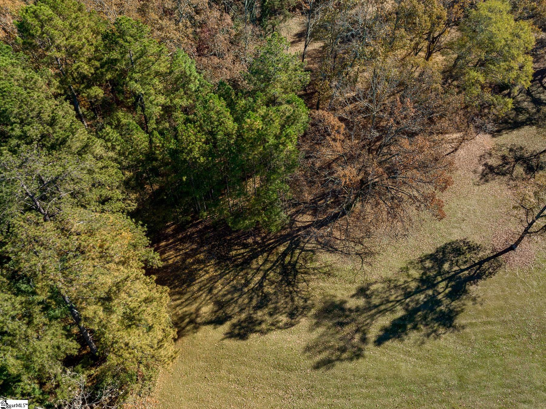 101 Parkins Lake Road Greenville, SC 29607 - Photo 11 of 15