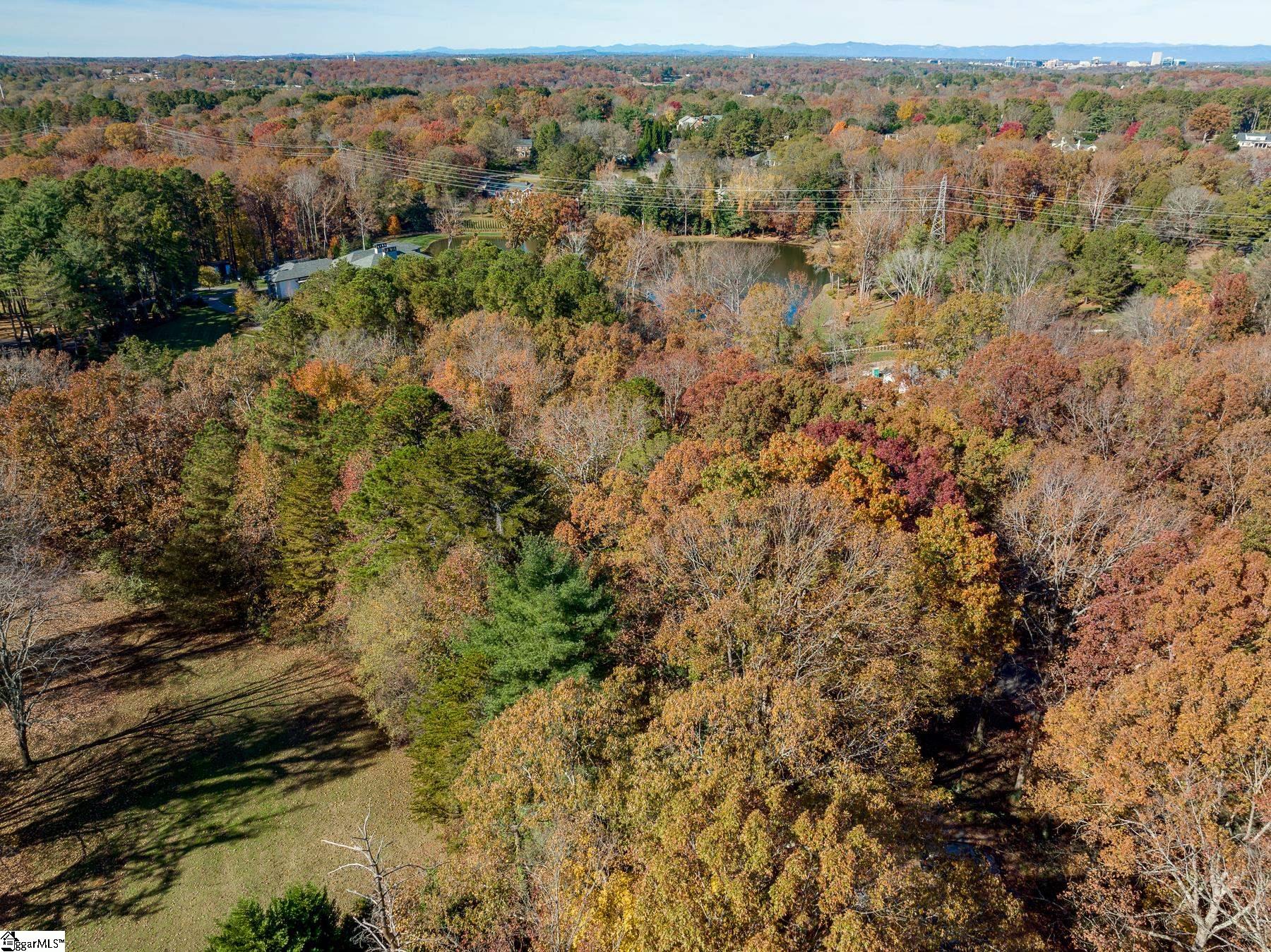 101 Parkins Lake Road Greenville, SC 29607 - Photo 4 of 15