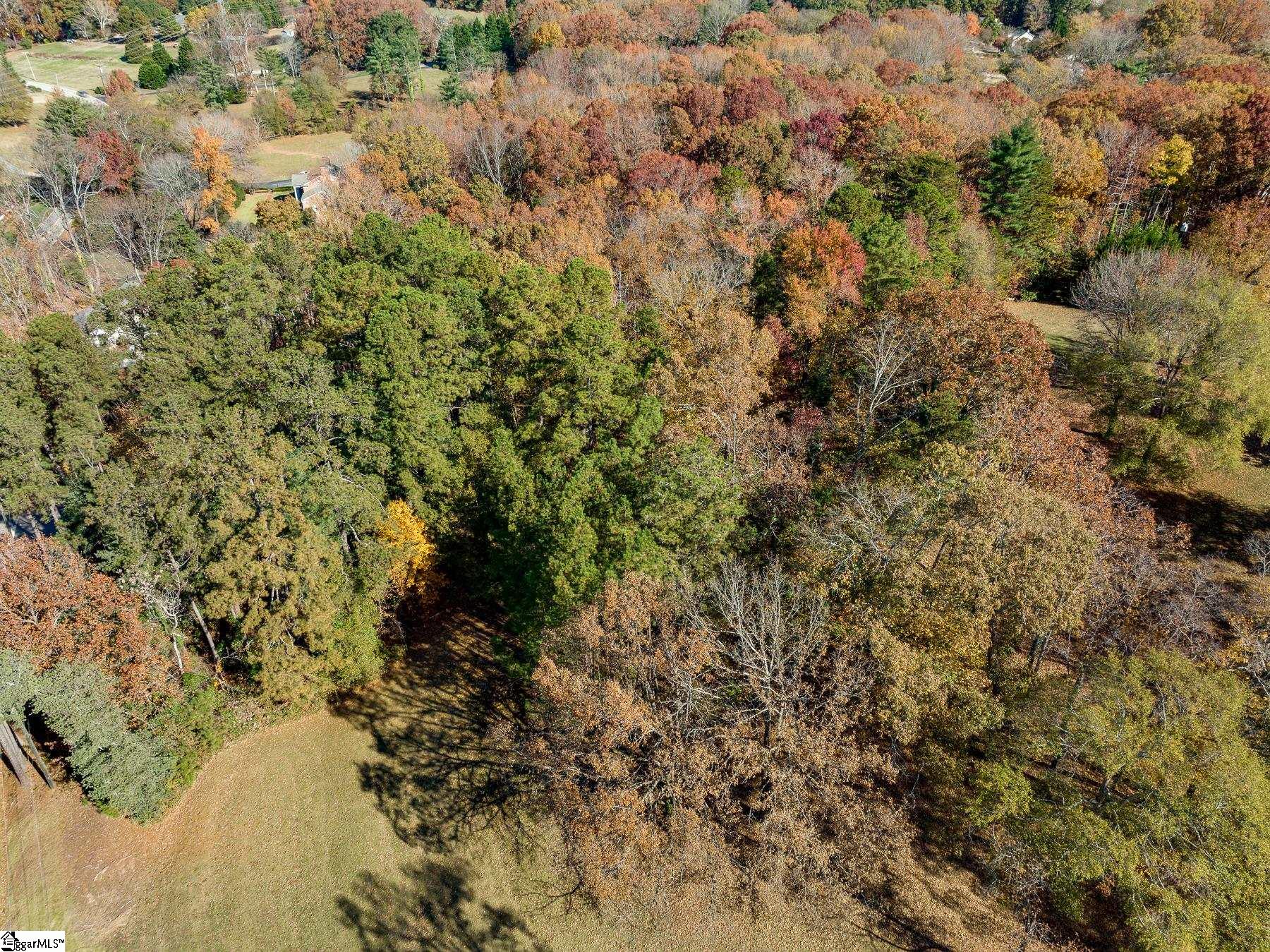101 Parkins Lake Road Greenville, SC 29607 - Photo 7 of 15