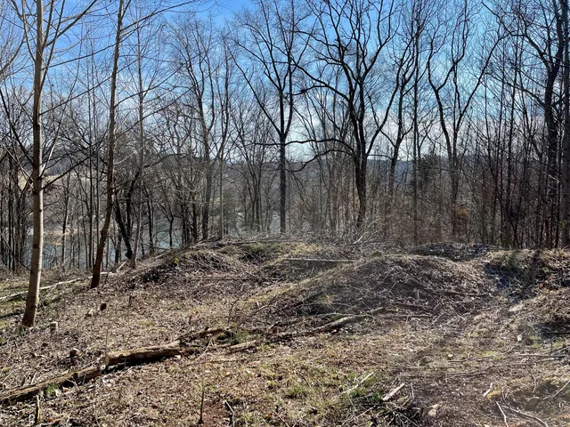 $249,000 | 1084 Biltmore Place, Unit 9, Piney Flats, TN 37686