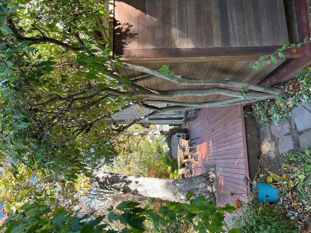 14-twenty First Street North Edgartown, MA 02539 - Photo 20 of 22 a view of a backyard with plants and a patio