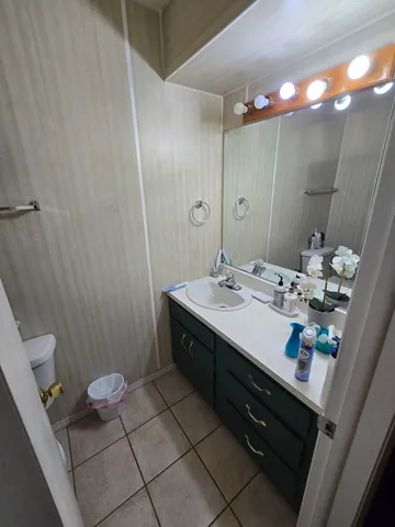 a bathroom with a sink a toilet and a mirror