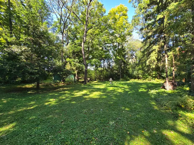 a view of yard with green space