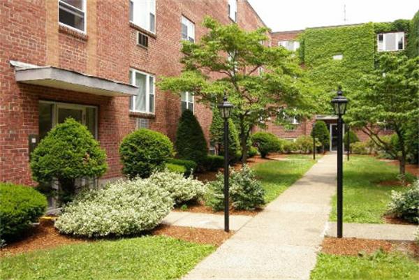 41 Colborne Road, Unit B2 Boston, MA 02135 - Photo 1 of 6 Gallery Image 1
