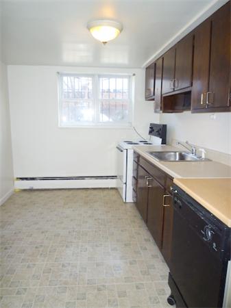41 Colborne Road, Unit B2 Boston, MA 02135 - Photo 3 of 6 Gallery Image 3