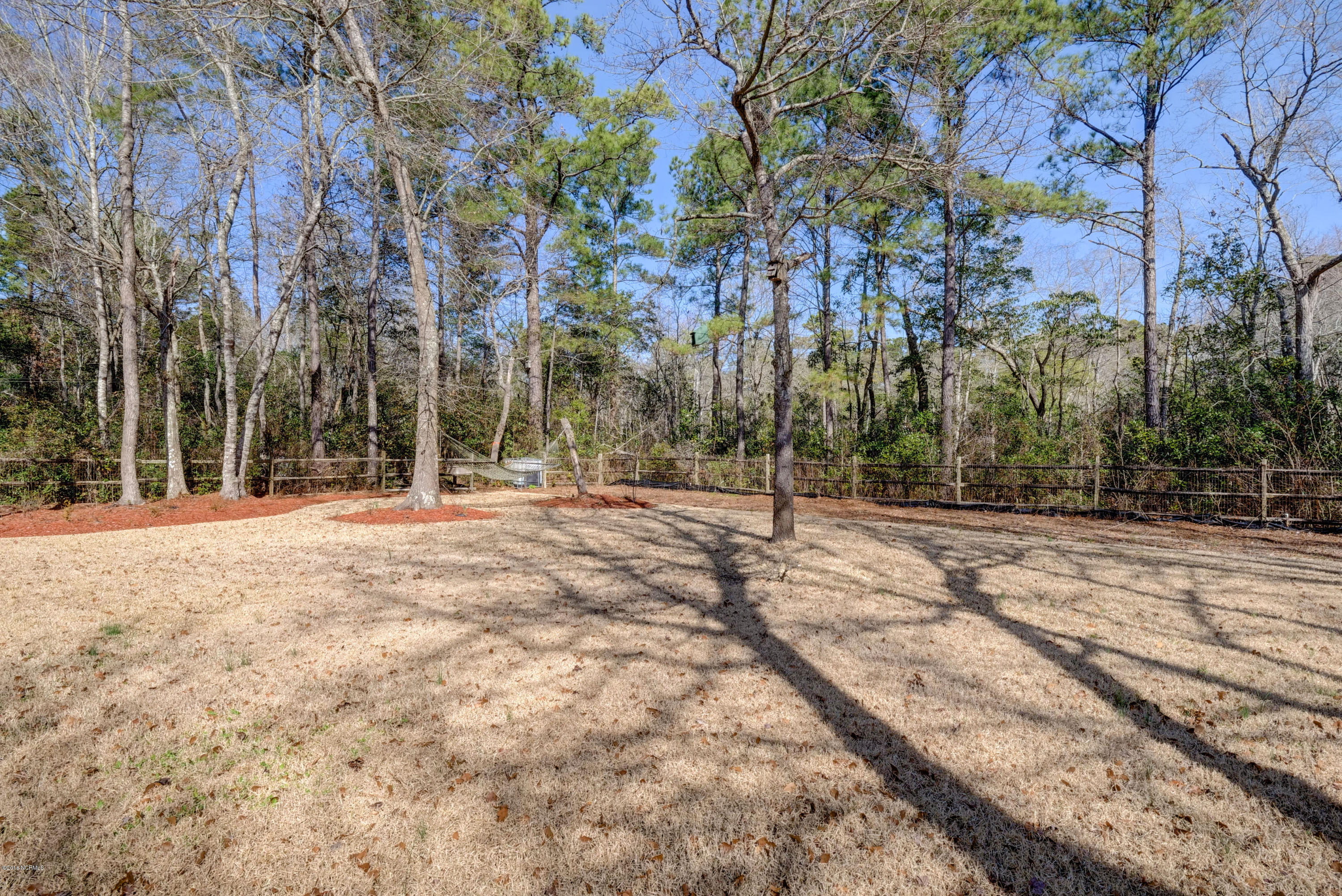 301 Porters Neck Road Wilmington, NC 28411 - Photo 30 of 30 Back Yard