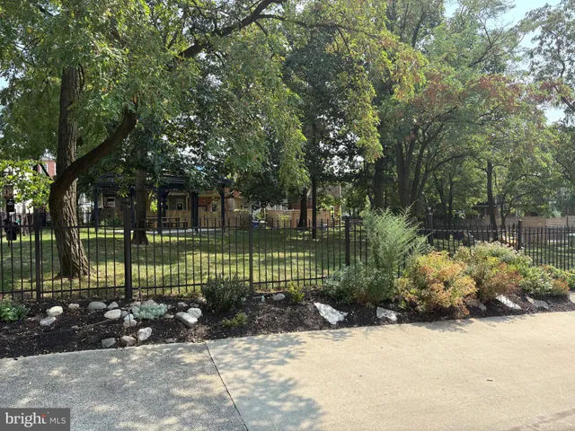 a view of a park with a bench and trees