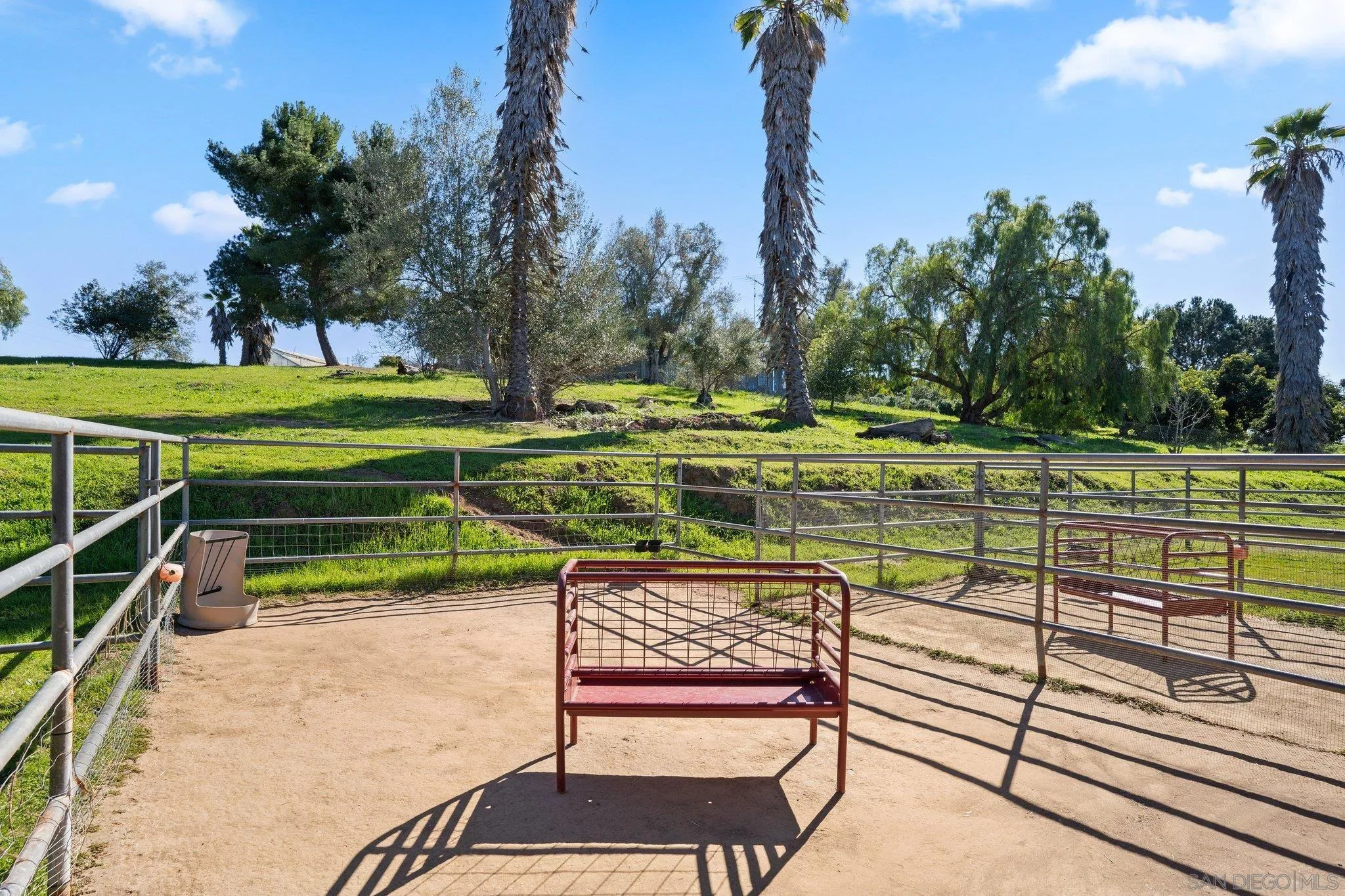 1267 Palomino Road Fallbrook, CA 92028 - Photo 32 of 34 a view of a park with large trees