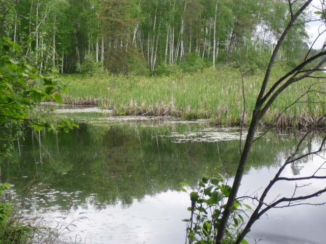 On Thunder Bay Road Tomahawk, WI 54487 - Photo 1 of 19 Gallery Image 1