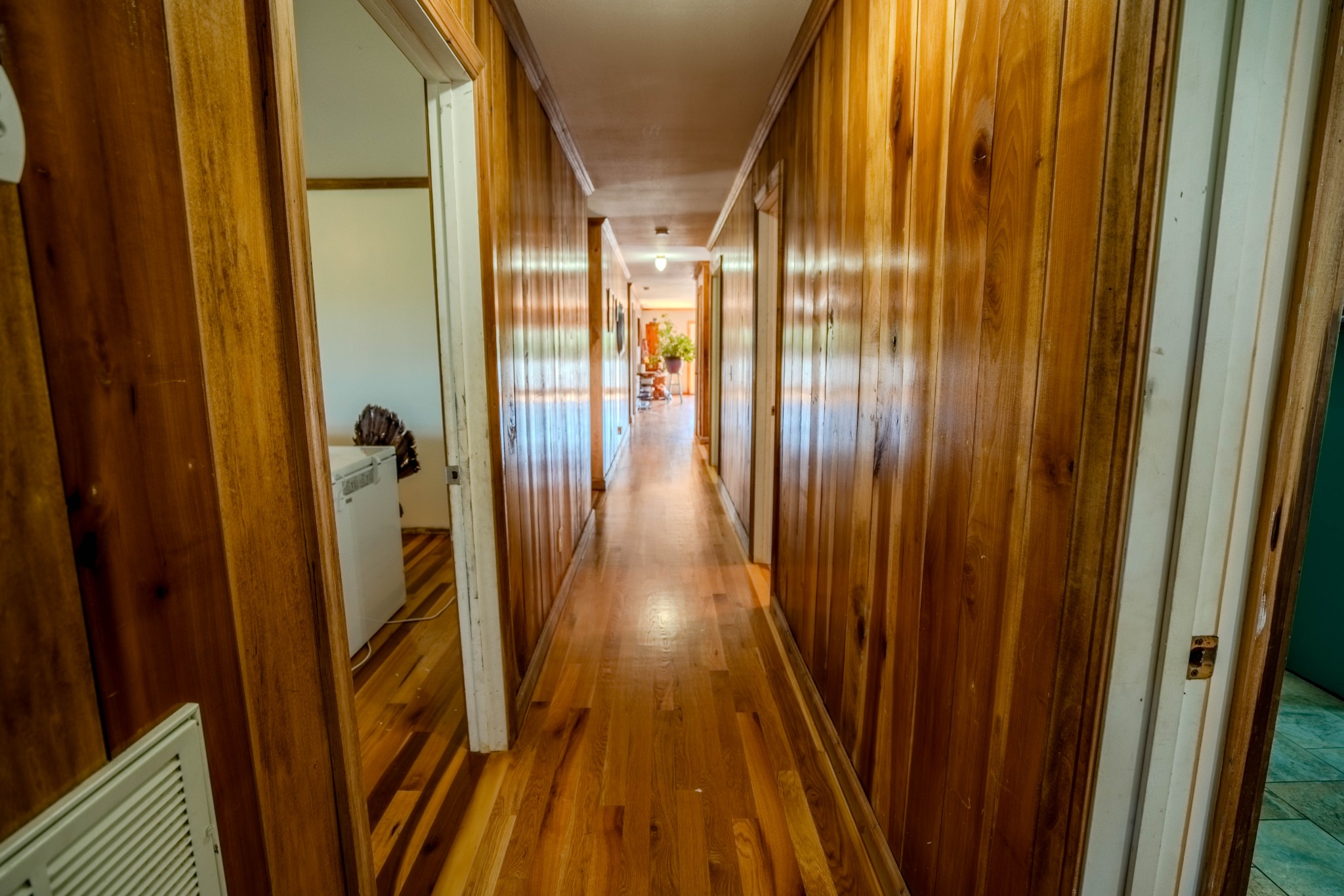 290 Prokesh Road Leoma, TN 38468 - Photo 43 of 46 Gallery Image 43