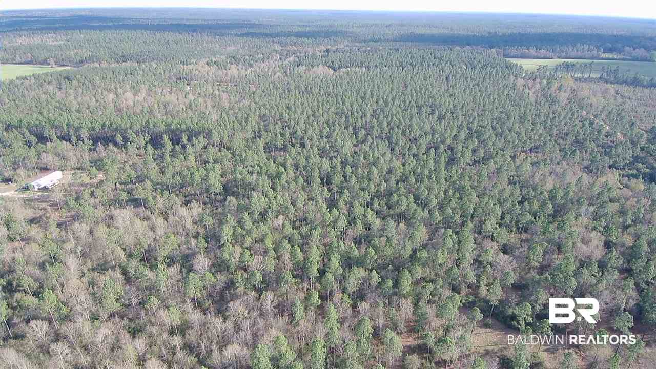 3 Red Cloud Road Baker, FL 32531 - Photo 10 of 14