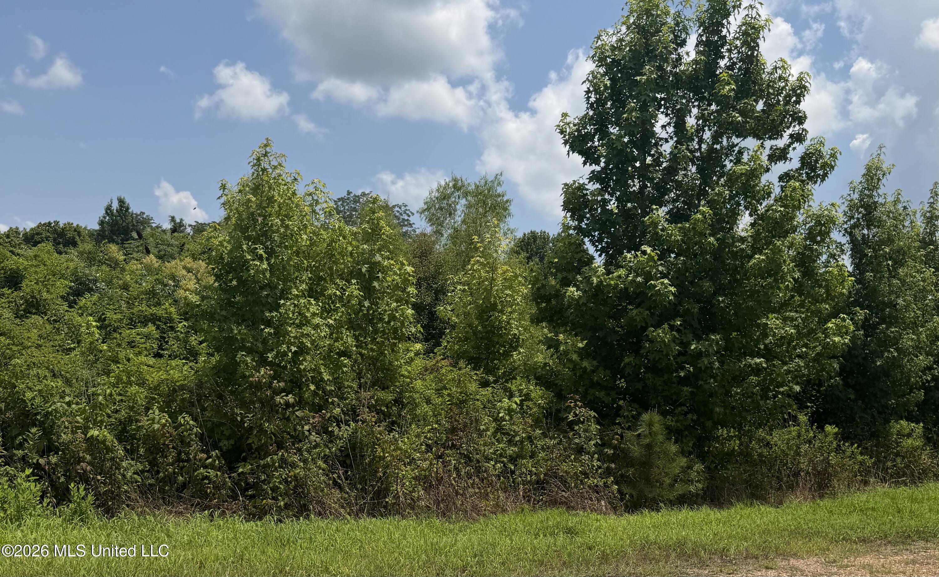 0 Kyle Road Senatobia, MS 38668 - Photo 2 of 2 IMG_1508