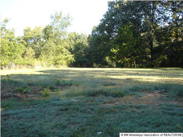 2924 Pleasant Hill Road Nesbit, MS 38651 - Photo 4 of 11 Additional Photo