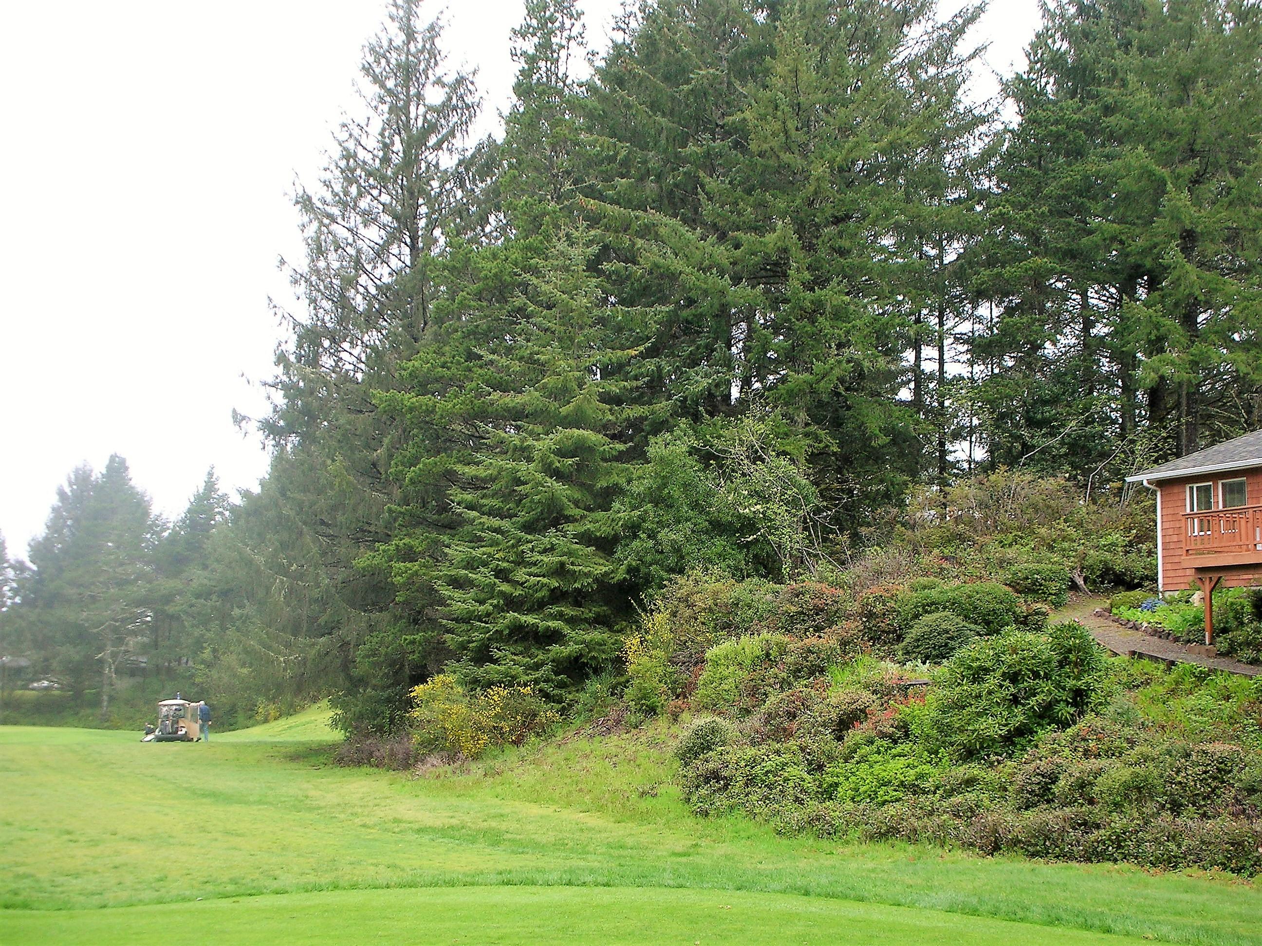 Division Court Manzanita, OR 97130 - Photo 6 of 8 Division Court, Manz Golf Course Lot