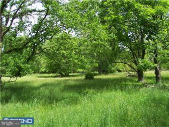 1313 Gypsy Hill Road Ambler, PA 19002 - Photo 4 of 7