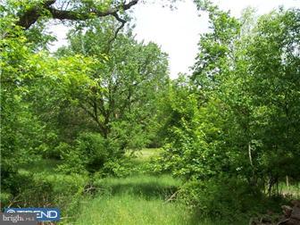 1313 Gypsy Hill Road Ambler, PA 19002 - Photo 5 of 7