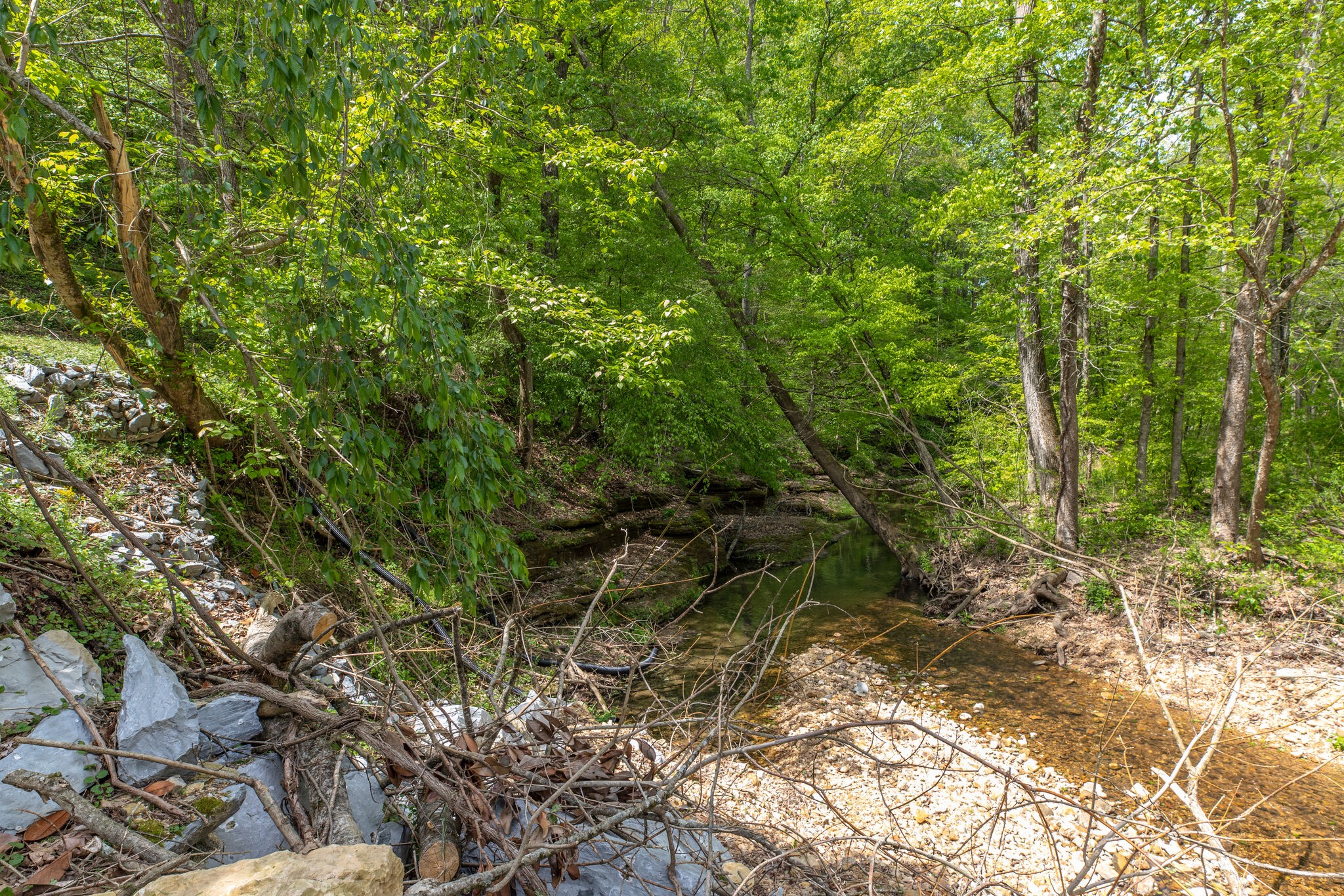 7196 Pinewood Road Nunnelly, TN 37137 - Photo 21 of 49 a backyard of a house with lots of trees