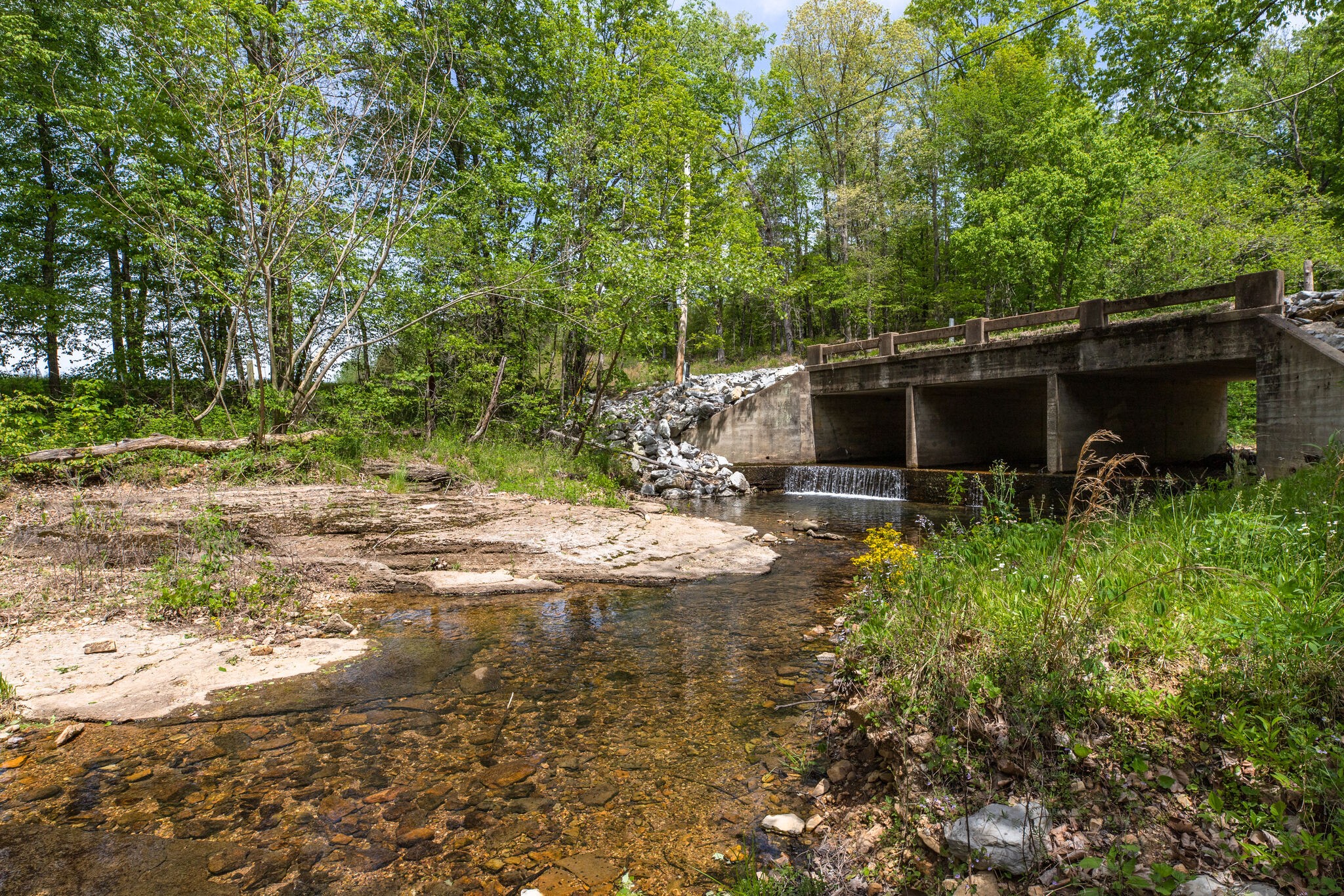 7196 Pinewood Road Nunnelly, TN 37137 - Photo 22 of 49 a view of backyard with green space