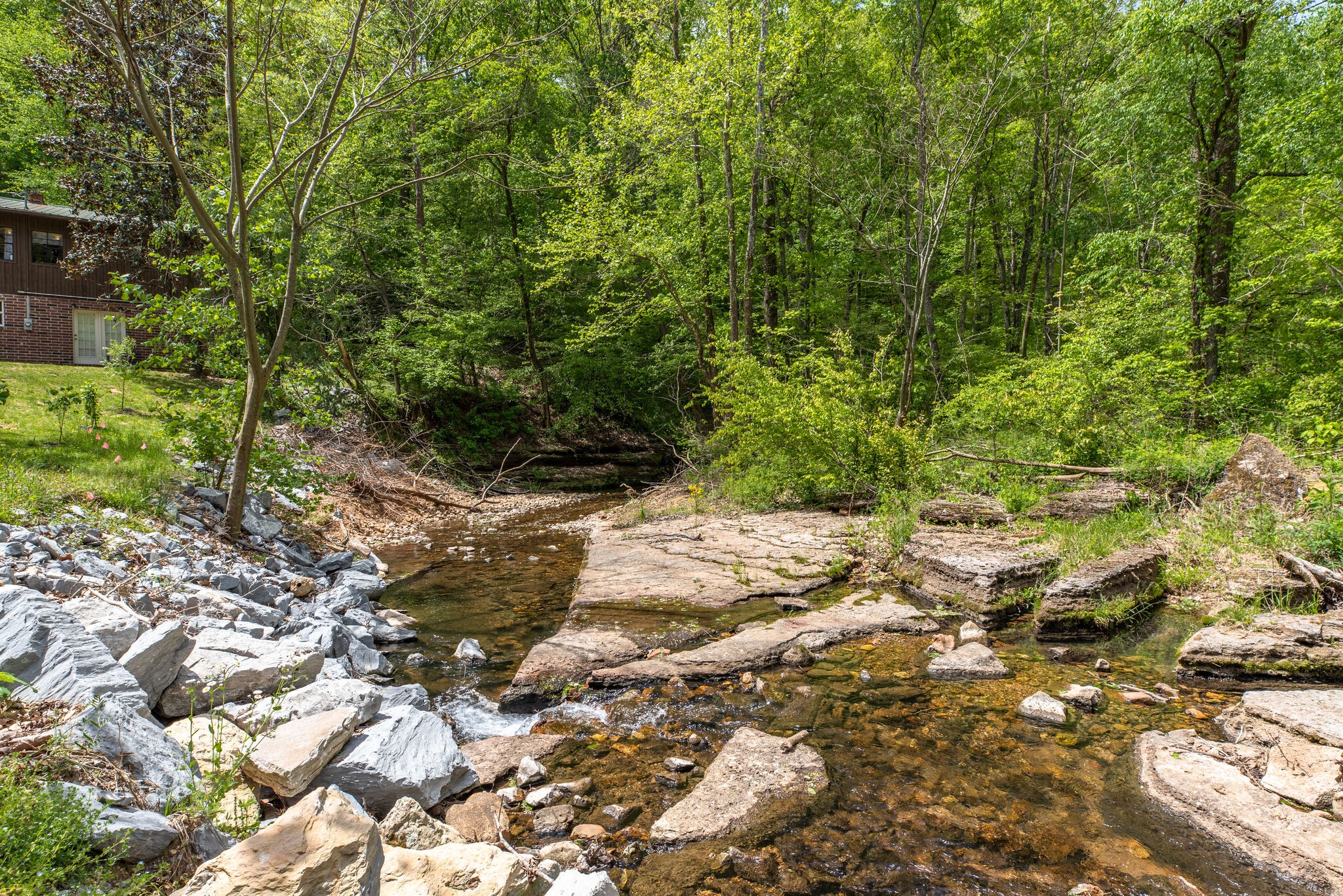 7196 Pinewood Road Nunnelly, TN 37137 - Photo 23 of 49 a view of a tree with yard