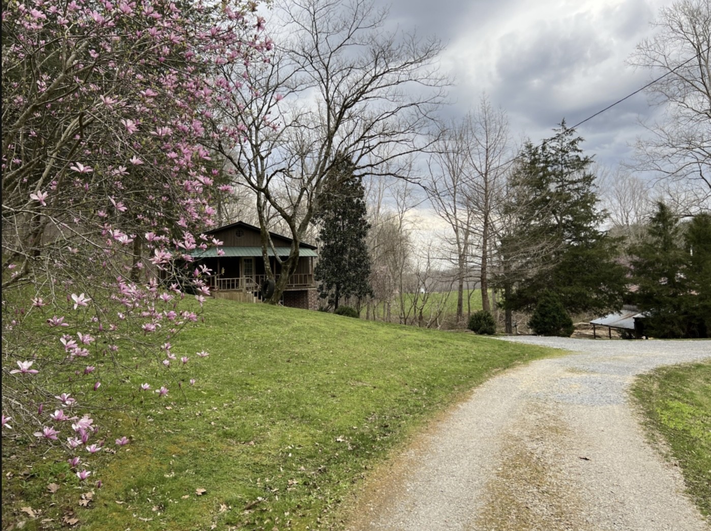 7196 Pinewood Road Nunnelly, TN 37137 - Photo 30 of 49 a view of a house with a yard