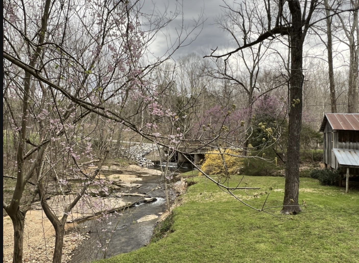 7196 Pinewood Road Nunnelly, TN 37137 - Photo 33 of 49 a backyard of a house with lots of trees
