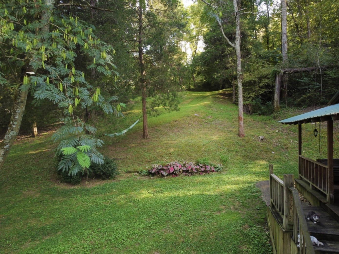 7196 Pinewood Road Nunnelly, TN 37137 - Photo 35 of 49 a backyard of a house with lots of green space