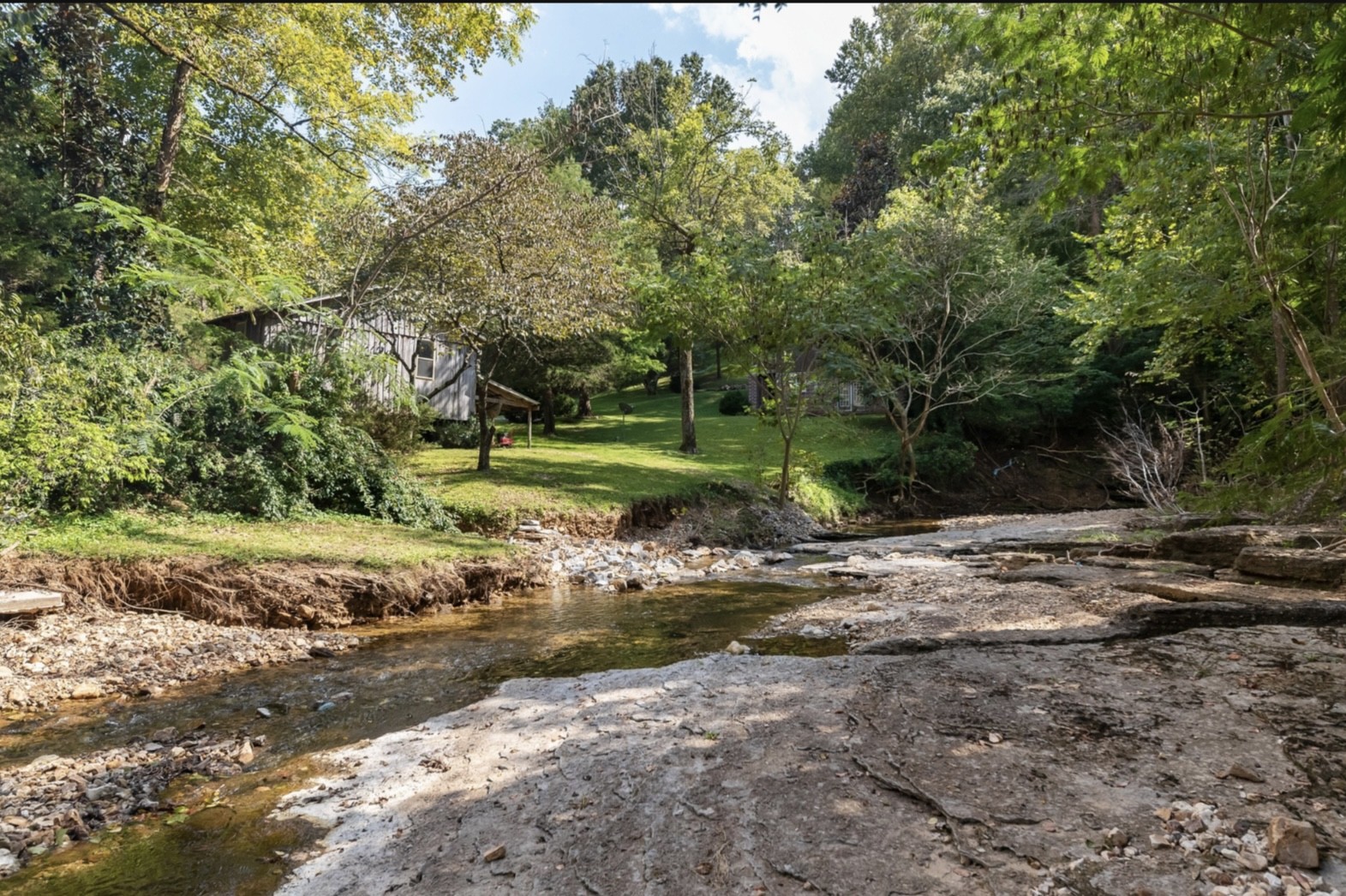 7196 Pinewood Road Nunnelly, TN 37137 - Photo 37 of 49 a view of a dirt road with a trees