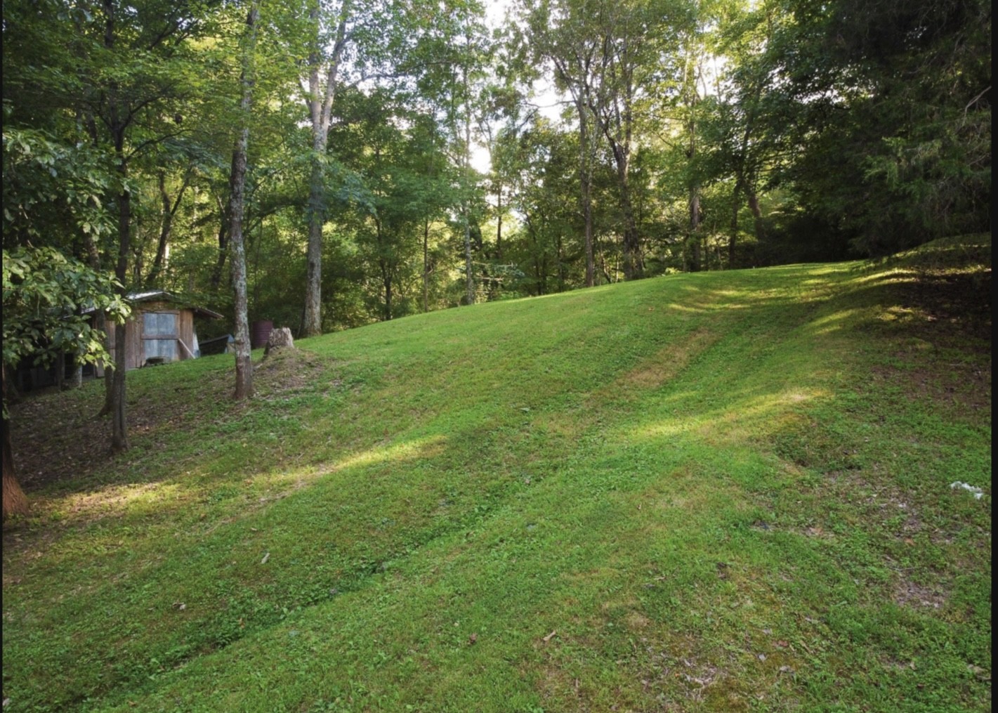 7196 Pinewood Road Nunnelly, TN 37137 - Photo 40 of 49 a view of a field with trees