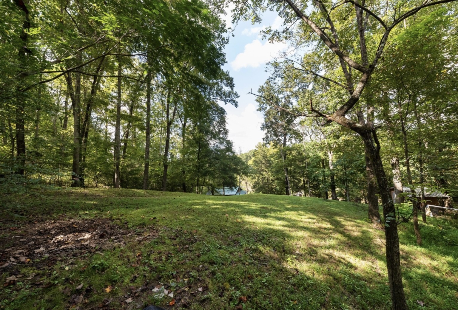 7196 Pinewood Road Nunnelly, TN 37137 - Photo 41 of 49 a big yard with lots of green space and trees