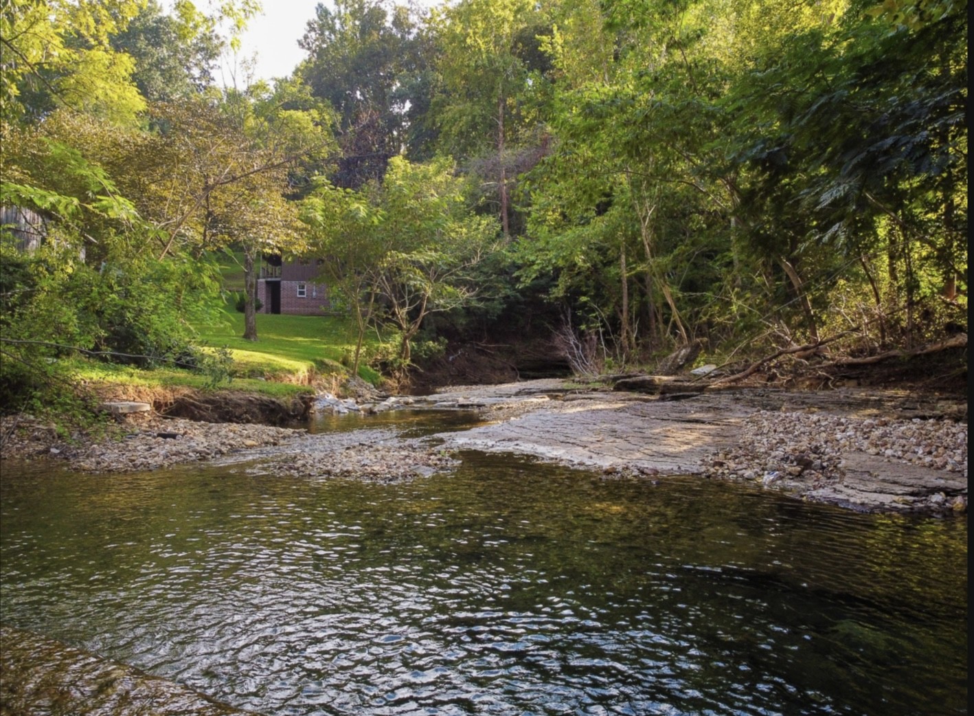 7196 Pinewood Road Nunnelly, TN 37137 - Photo 44 of 49 a view of backyard with green space