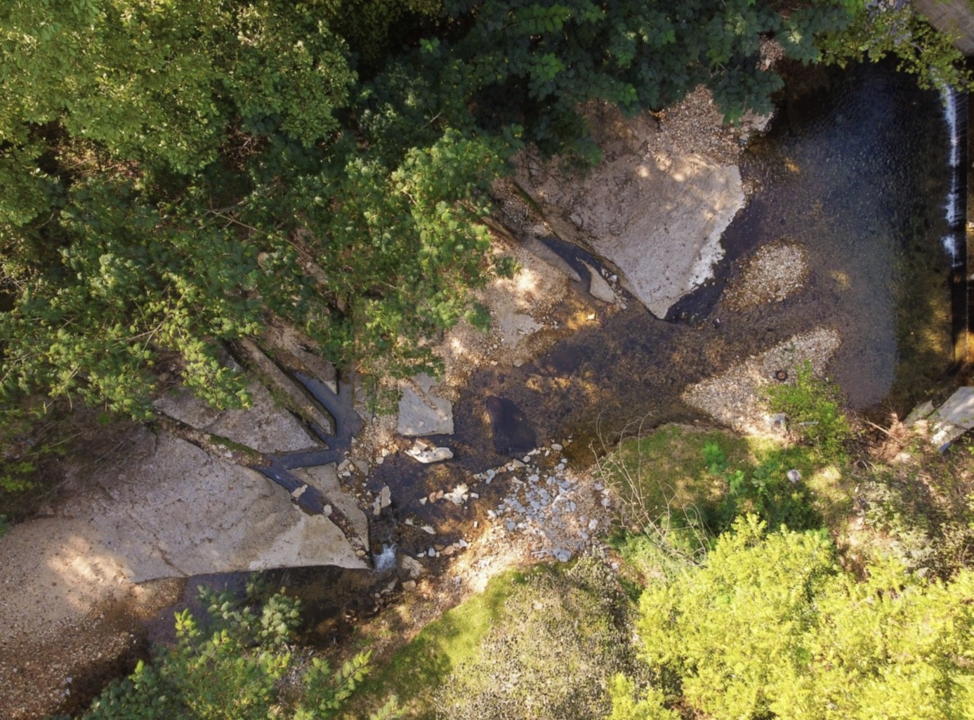 7196 Pinewood Road Nunnelly, TN 37137 - Photo 45 of 49 a backyard of a house with a yard and outdoor seating