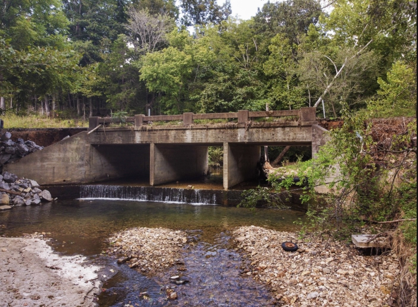 7196 Pinewood Road Nunnelly, TN 37137 - Photo 46 of 49 a view of house with large trees in front of it