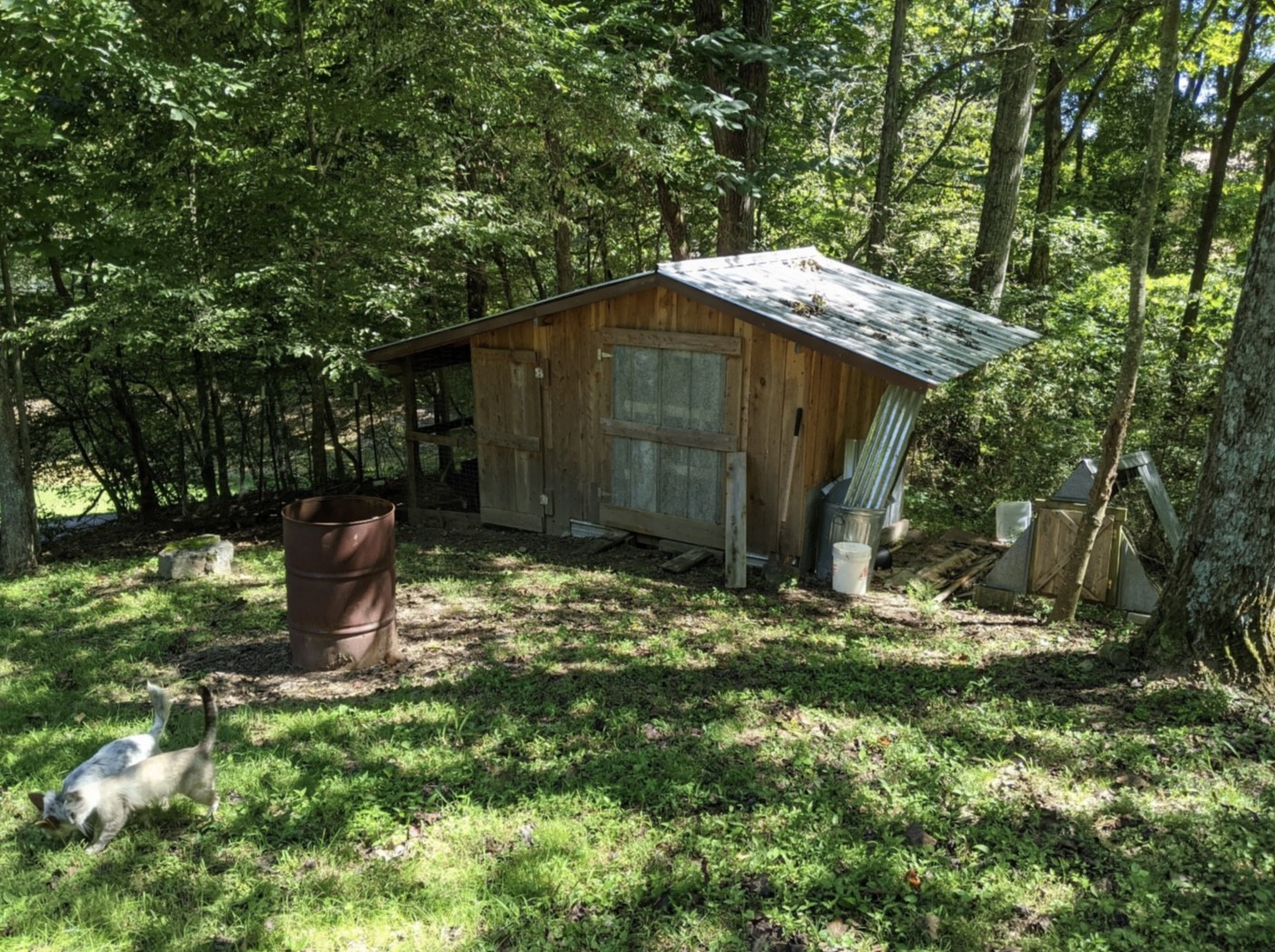 7196 Pinewood Road Nunnelly, TN 37137 - Photo 47 of 49 a backyard of a house with table and chairs a barbeque and a large trees