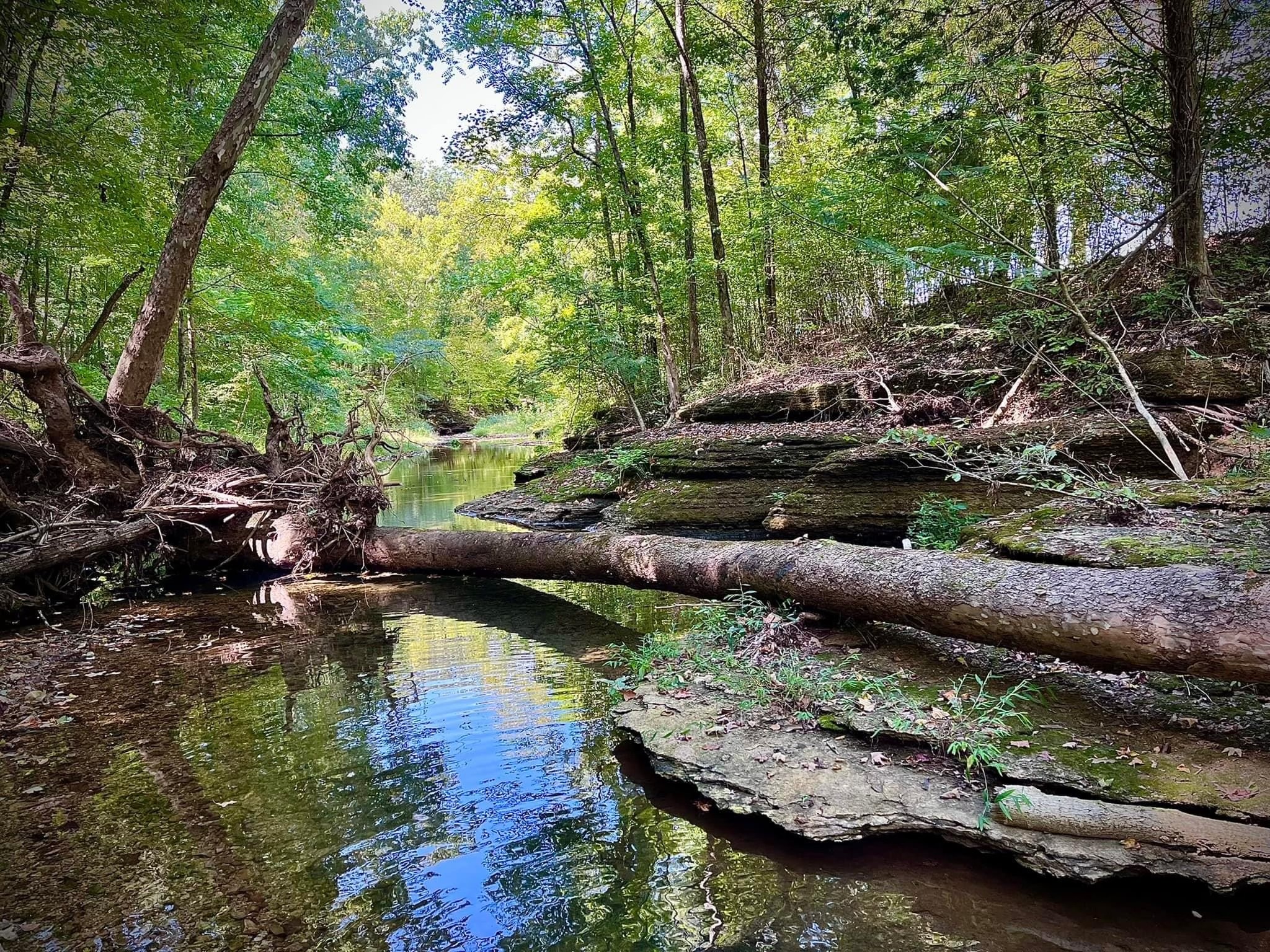 7196 Pinewood Road Nunnelly, TN 37137 - Photo 48 of 49 a view of lake with green space